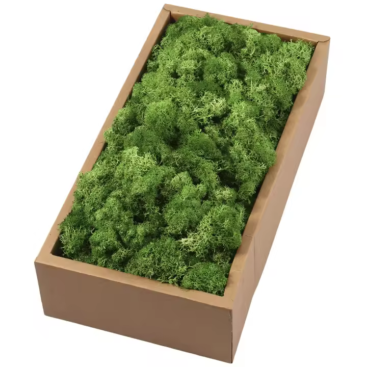  Decorativo De Moss Preservado Ligero Arte Artificial De Moss Verde Eterno Para Decoración De Paredes En Casa Y Fiestas - 1
