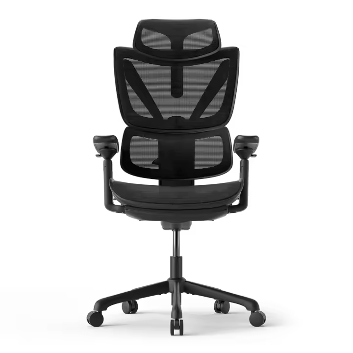 ACGAM Silla de Oficina, Silla de Escritorio de Malla, Silla Giratoria Ergonómica, Soporte Lumbar, Oscilante, Asiento de 53 cm, Apoyabrazos Abatibles, Negro - 1