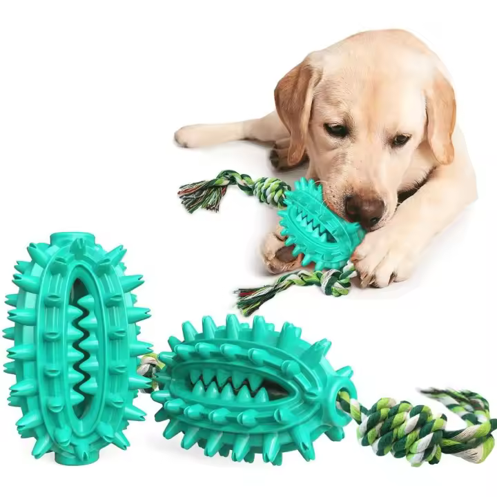 Juguete para Perros Cactus, Cepillo de dientes para perros con cuerda, dispensador de alimentos para mascotas Distrilocu - 1