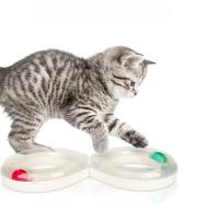 Nuevos Juguetes Para Gatos Alivio De La Boredom Rueda De Juguete Con Bola Para Gatos Y Gatitos Palillo De Cuddling Para El Consumo Físico De Los Mascotas - details 1
