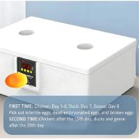 Incubador De Huevos Pequeño Termostático 24 Horas Con Cama De Agua Biomimética Automático Inteligente Para Pollos Pato Ganso - details 3