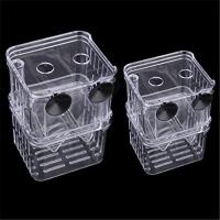 Incubador De Acuario Multifuncional Para Crecimiento De Peces Transparente 1L Con Doble Capacidad Para Guppies Y Reproducción De Peces - details 12