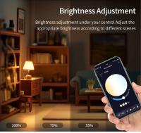 Bombilla LED Inteligente Tuya 220V E27 Bluetooth Con Control Remoto RF 2.4G Luz De Ambiente RGB Ampolleta Inteligente Para El Hogar - details 7