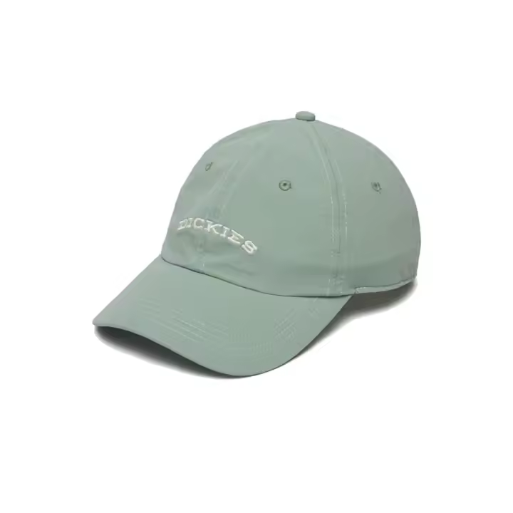 Gorra Dickies Wilsal Unisex Verde - 1