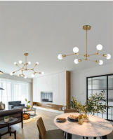 Lámpara De Techo Moderna Y Minimalista Ajustable En Ángulo Negro/Oro Chandelier Pendente Iluminación Metal E27 Fuente De Alimentación DC - details 5