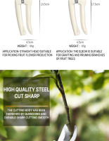 Tijeras De Podar Para Jardín Profesionales Herramientas Manuales Para Orquidear Bonsái Corte De Jardinería Tijeras De Podar - details 3