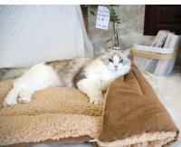Cama Para Gatos Caliente Y Gruesa Multifuncional Plegable Alfombra Para Mascotas Pequeñas Y Perros Pequeños Silla De Descanso Para Gatos En Casa Almohadilla De Sueño Para Gatos Y Perros - details 2