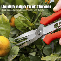 Tijeras De Afinado Agrícola Doble Puerto Para Frutas Y Flores Herramientas De Podar Para Árboles De Fruta Y Jardín Multiusos - details 3