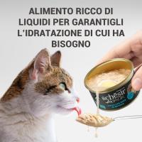 Schesir After Dark, Sabor Pollo y huevo de codorniz en caldo alimento húmedo Completo para Gatos Adultos (latas 12 de 80 g) - details 1