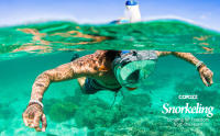 Máscara De Snorkel Y Natación Profesional COPOZZ Para Adultos Equipamiento De Natación Antigolpes Anti Escarcha Completa - details 15
