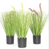 Maceta Negra Para Suculentas De Plástico Juego De Plantas Decoración Para El Hogar Y La Oficina Contenedor De Plantas - details 2