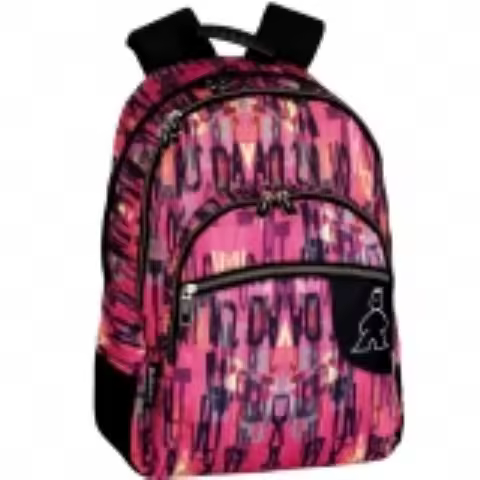 Bolsos Hf Mochila Multibolsillo Campro 43x32x14cm - 1