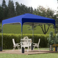 Outsunny Cenador Plegable 2,5x2,5x2,68 m Carpa de Jardín Protección UV 50+ Ajustable en Altura con 4 Bolsas de Arena y Bolsa de Transporte para Camping Fiestas Patio - details 1