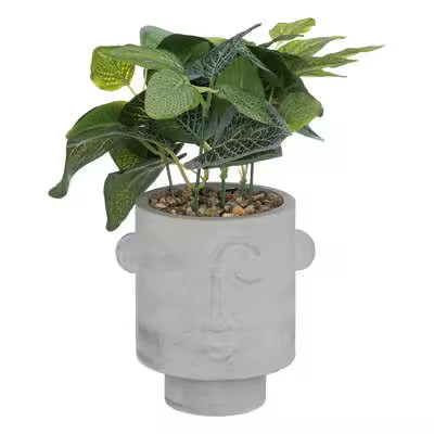 Planta con maceta rostro cemento gris, 26 cm de alto - 1