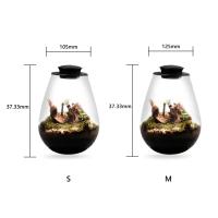 Terrario De Vidrio Para Plantas Con Luz De Crecimiento Micro Paisaje De Mojarra Y Suculentas Vaso De Decoración Para El Hogar - details 9