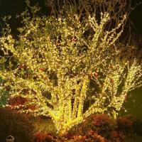 Cinta De Luces Solares LED 50M Para Jardín Exterior Impermeable Para Cumpleaños Patio Árbol Fiesta Camping Decoración De Navidad - details 3