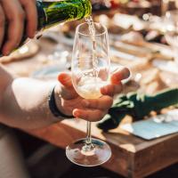 Cava Vegano Brut Blanc de Blancs 75cl - Alsina & Sardà - details 2