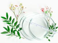 Extracto de Alholvas Soria Natural 50ml - Fortalece el Sistema Inmunológico | Multivitaminas - details 3
