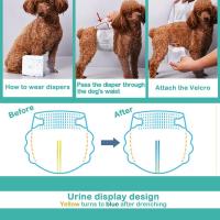 16 Pcs Pañal para Perro Bps Buena Pet Shop - details 5