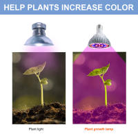 Bombilla LED De Espectro Completo Para Cultivo 220V E27 Phytolamp Para Plantas E14 UV Lámpara De Flores Indoor Semillas De Hidroponia Luces De Crecimiento - details 8