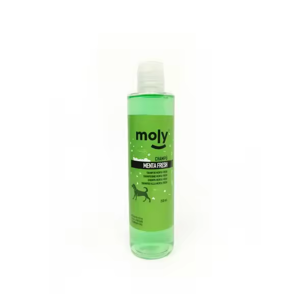 CHAMPU MENTA FRESH 250ml - 1