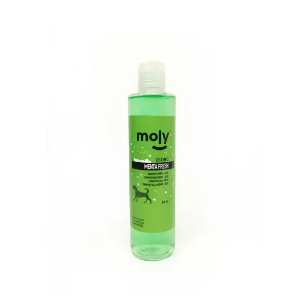 CHAMPU MENTA FRESH 250ml - 1