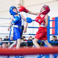 Protector De Dientes De Mordaza Deportiva Para Niños Y Adultos Para Baloncesto Rugby Boxeo Karate Aparato Entrenador De Protección Oral - details 5