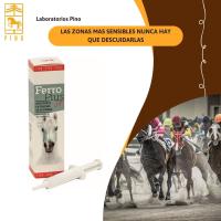 FERROPLUS JET, resistencia en pruebas de intensidad caballos de Laboratorios Pino. Jeringa de 20ml - details 2