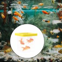 Caja De Cría Y Aislamiento Para Peces Acuario Incubador De Recién Nacidos Accesorio De Repositorio De Alimentos Para Acuario - details 9