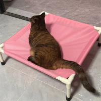 Cama De Camping Para Perros Y Gatos Cama Elevada Plegable Lavable Y Portátil Hogar Para Pupusas Colchón Para Perros Malla De Hamaca - details 12