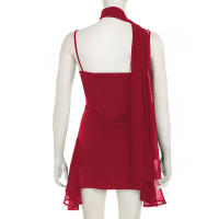 Vestido Vintage A-Line Irregular De Mujer Con Halter Y Malla Sin Mangas De Spaghetti Estilo Chic Para Fiestas Y Calle Moda Sexy Y Club - details 8