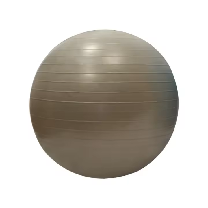 Sporti France Fitball Gym 55 Cm Marrón - 1