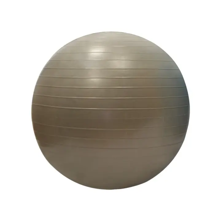 Sporti France Fitball Gym 55 Cm Marrón - 1