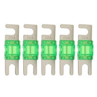 Mini ANL Fusibles Para Coche Estéreo Audio AFS Fusible 30A 40A 60A 80A 100A Fusible Automóvil Protección De Circuitos Y Equipo Eléctrico - details 2
