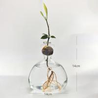 Vaso De Comino Para Cultivo De Semillas Kit De Plantación Con Pegatinas Regalo Para Amantes Del Jardín Material De Vidrio Transparente - details 3