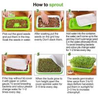 Plato De Crecimiento Sprout 33cmx26cmx5cm Para Microgreens Sistema Hidroponico De Sprouts Herramienta De Jardinería Y Agricultura - details 4
