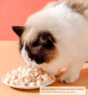 Snacks Naturales de Pollo para Perros y Gatos 100% Carne Pura, Liofilizado, Alto en Proteína, Bajo en Grasa, Sin Aditivos Bocaditos Saludables para Mascotas - details 1