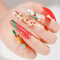 12 Grillas De Diseño Estelar De Cuatro Puntos Glitter Holográfico Para Uñas Adornos De Tela De Lentejuelas DIY Para Arte De Uñas - details 7