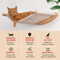 Juego De 3 Piezas De Hamaca Para Gatos Con 2 Postes De Rasguño Muebles Para Mascotas De Interior Soporte De Pared Cama De Percha Para Gatos - details 4
