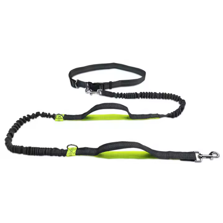 Correa Reflectante Para Perro De Corrida Con Cinturón De Soporte Elástico Y Anillo D Metálico Para Libertad De Manos Manguera De Agarre Para Todas Las Estaciones - 1