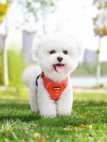 Nueva Correa De Pecho Para Perros Dopamine Con Reflectividad Y Respirabilidad Correa De Traction Para Mascotas Material De Poliéster Adecuada Para Todas Las Etapas De Vida - details 13