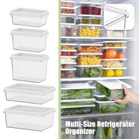 Caja De Almacenamiento De Alimentos Para Nevera Con Tapa De Plástico Acero Inoxidable Y Plástico Para Mariscos Frutas Verduras Caja De Picnic Moderna - details 37