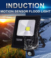 Lámpara De Inundación LED Con Sensor De Movimiento IP65 Impermeable 10W 30W 50W 220V Luz De Punto Exterior Al Aire Libre Reflector De Lámpara - details 0