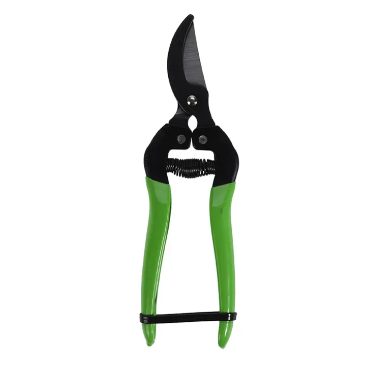 TIJERAS DE PODA CON MANGO VERDE DISEÃ‘OS SURTIDOS 80x175mm PROGARDEN - 1