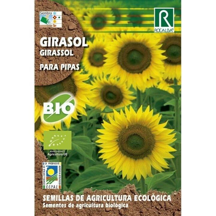 Rocalba Girasol Para Pipas: Cultiva Tus Propias Semillas (10gr / 100 Semillas). Planta Anual Fácil Y Rápida.