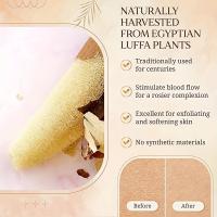 4Pcs Esponja De Luffa Natural Exfoliante De Baño Escobilla De Limpieza Para Cocina Esponja Orgánica De Egipto Para Lavar Utensilios De Cocina - details 0