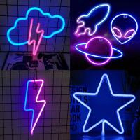 Luz De Neón Cálida Para Decoración De Habitaciones De Juegos Y Fiestas Con Fuente De Alimentación Por Batería O USB Regalo De Cumpleaños Para Niñas Y Niños - details 0