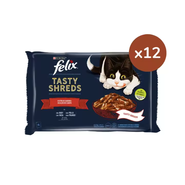 FELIX - Tasty Shreds (48x80 gr) - Comida Húmeda Selecciones Favoritas (Buey en Salsa y Pollo en Salsa) (12x4x80 gr) - 1