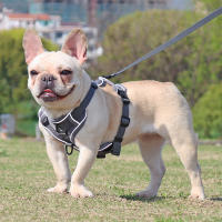 Set De Correa Y Arnés Reflectante Para Perros Y Gatos De Malla Y Nylon Para Pequeños Y Medianos Perros Bulldog Pug - details 11