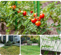 10 PCS Clip Plástico Universal Soporte Para Plantas Conector Fijo De 11 Mm Para Jardinería Y Pergolas Climáticas - details 6